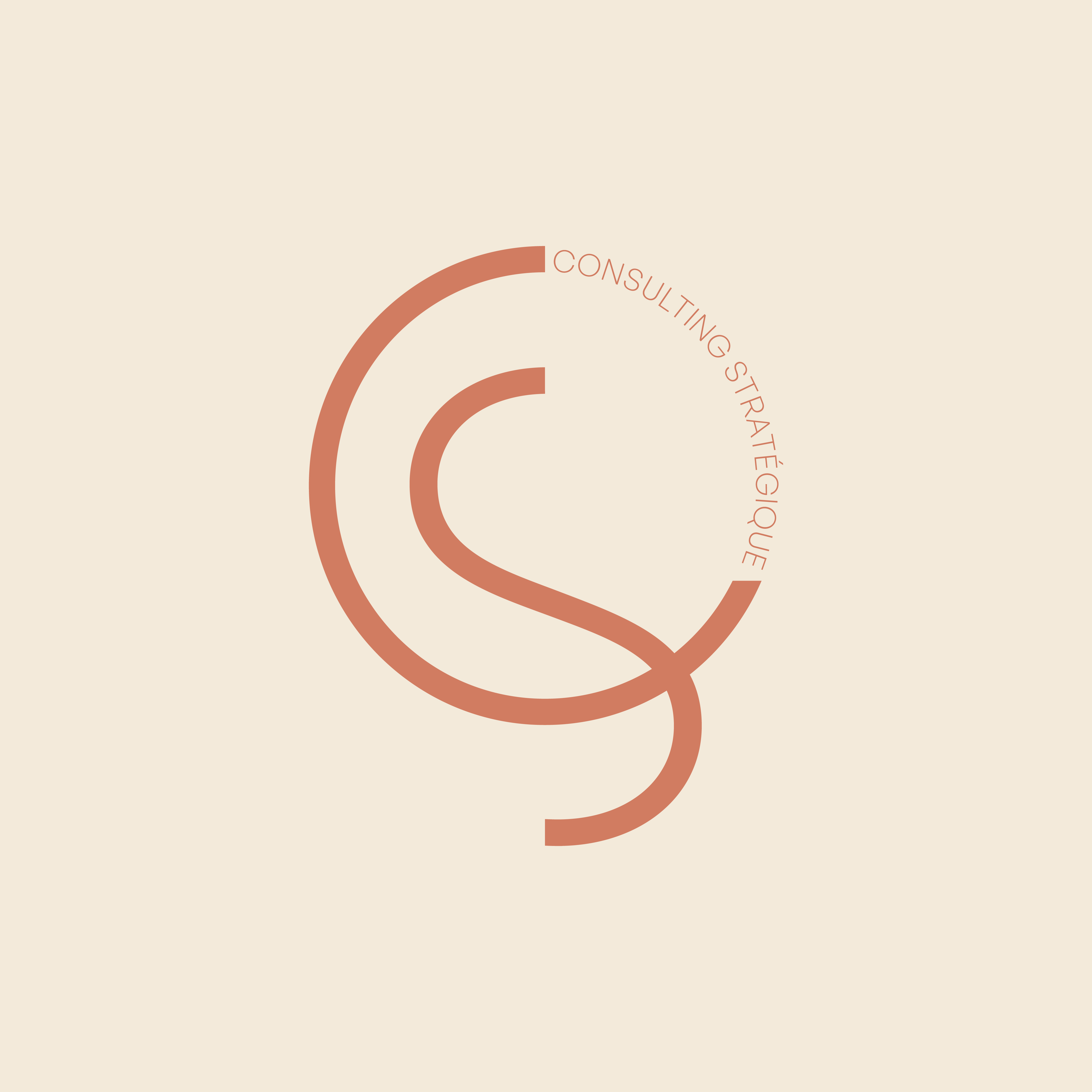 CS Consulting Strat&eacute;gique